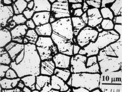 Sensitization and Intergranular Corrosion of Stainless Steels - TCR ...