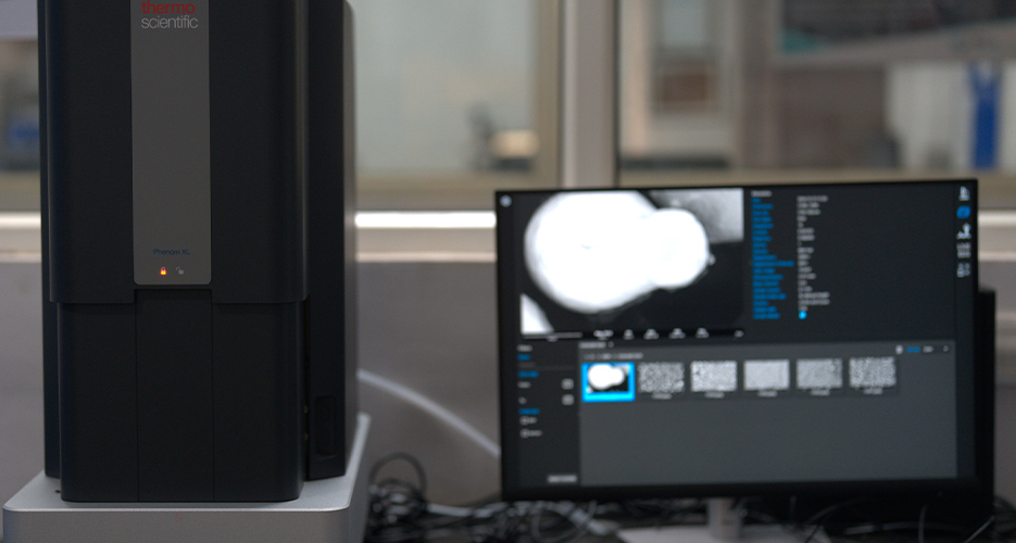 Scanning Electron Microscope (SEM) with EDS Analysis