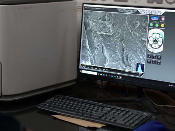 Remaining Life Assessment